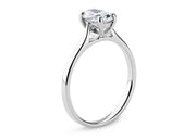 Countour Oval Oro Blanco