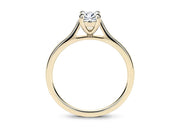 Countour Oval Oro Amarillo