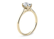 Countour Oval Oro Amarillo