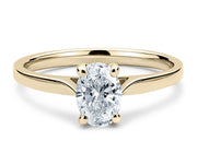 Countour Oval Oro Amarillo