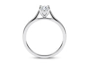 Countour Oval Oro Blanco