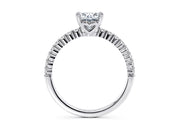 Duchess Ovalado Oro Blanco